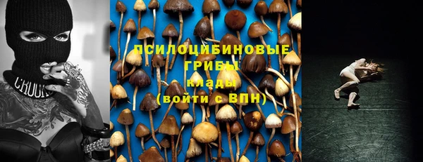 прущие крисы Балахна
