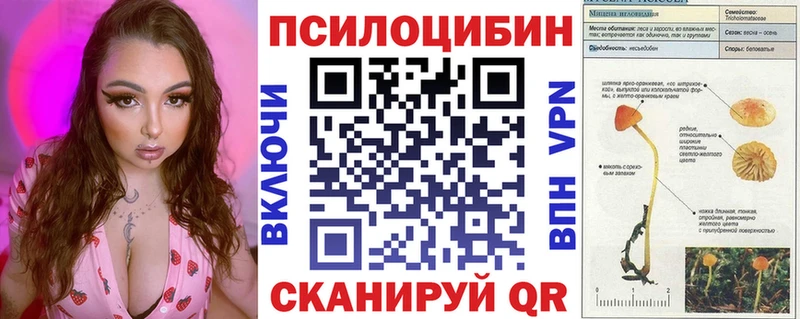 продажа наркотиков  Лаишево  Галлюциногенные грибы GOLDEN TEACHER 